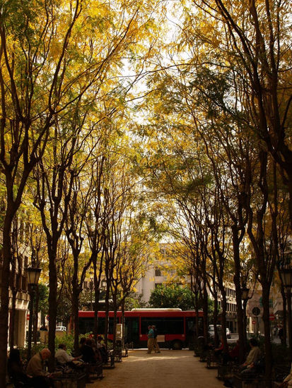 Sendero urbano Photojournalism and Documentary Color (Digital)