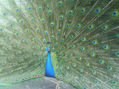 museo Dolores Olmedo