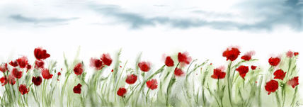 Amapolas