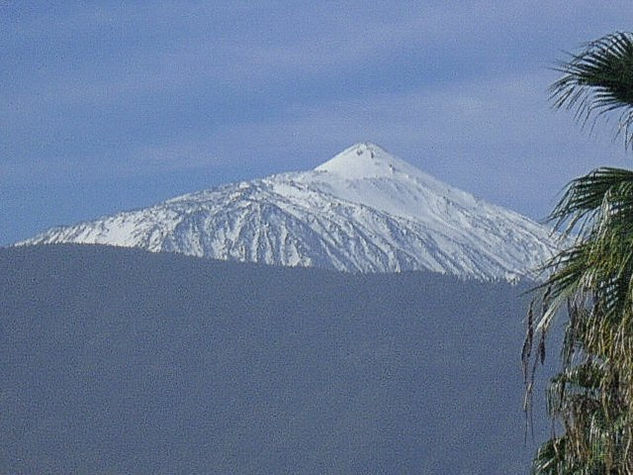 Teide Architecture and Interiorism Black and White (Digital)