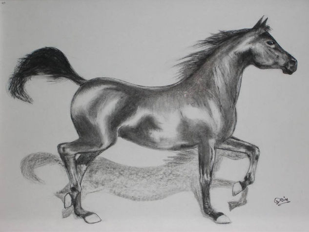 CABALLO CARBON Charcoal