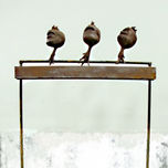 Frankensteins Sociales thumbnail 2