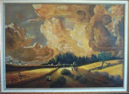 Campo de trigo