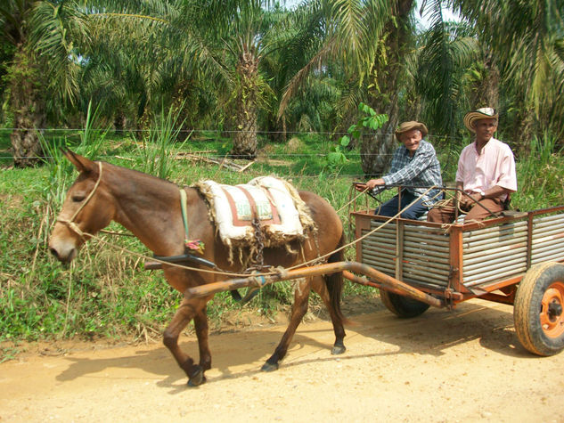 ENTORNOS COLOMBIANOS 