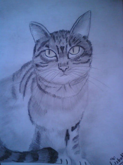 GATo