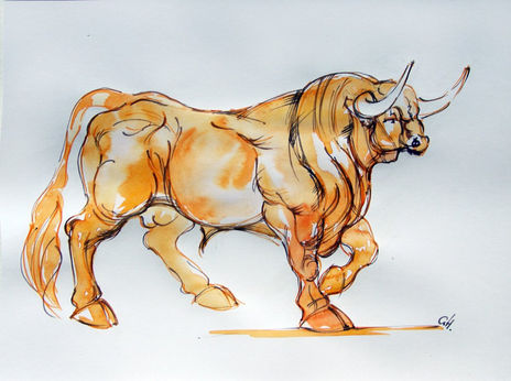 Toro