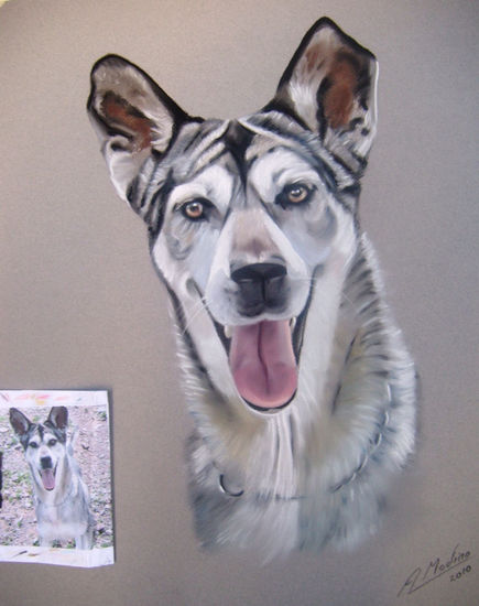 Husky Pastel Paper Animals