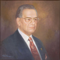 Sr. luis vayas amat