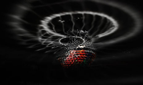 DISCO