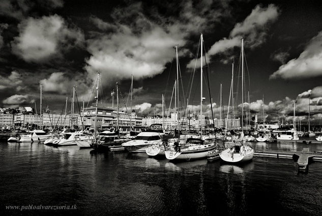 VELEROS EN LA MARINA 