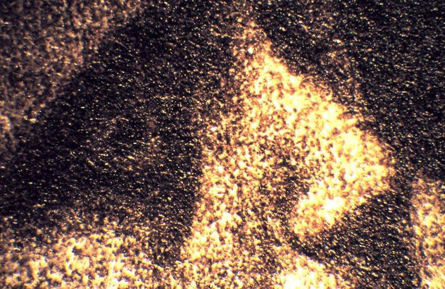 detalle de una estampa a la manera negra