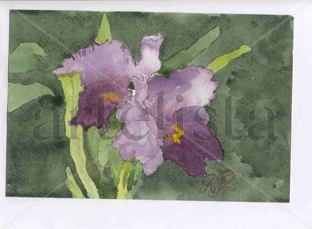 LA ORQUIDEA ! ! ! Watercolour Paper Landscaping