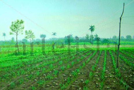 Paisaje matinal