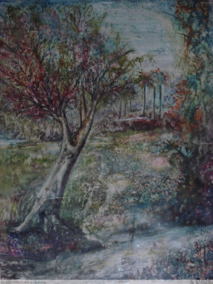 Mi patio