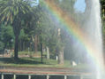 arco iris