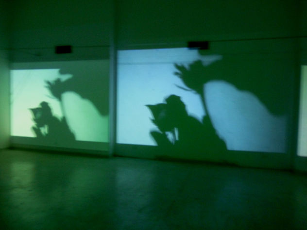 video instalacion sentencia de amor condenatoria (obra expuesta)