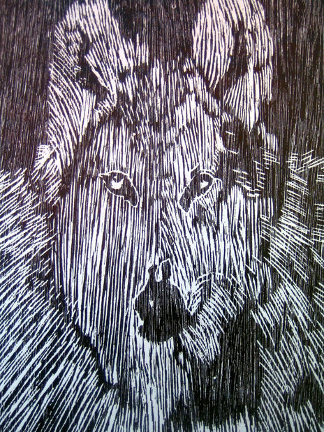 Loba