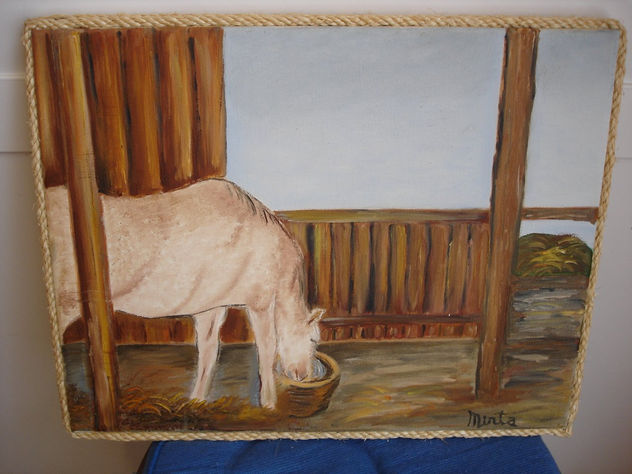 caballo