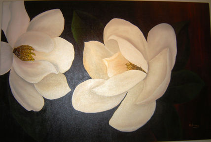 Camelias