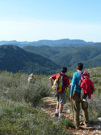 Admirando el paisaje