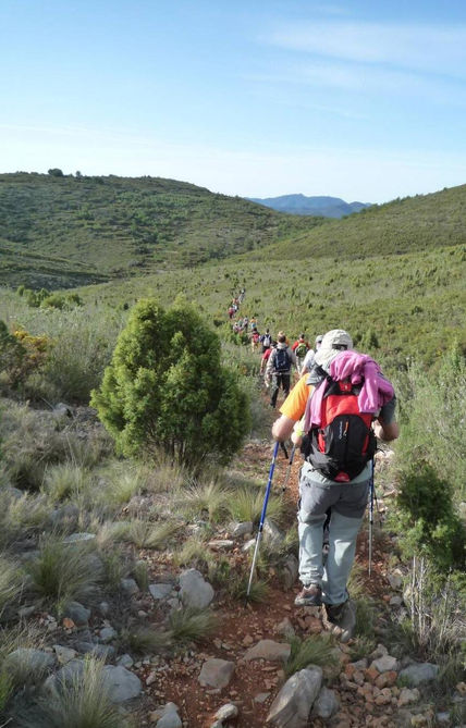 En marcha