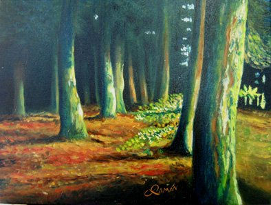 bosque Oil Canvas Landscaping