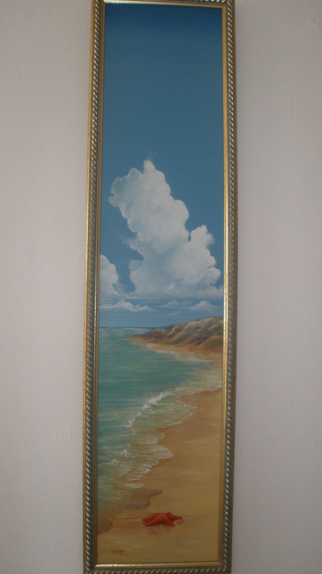 estrella de mar