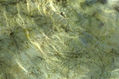 Textura de Agua