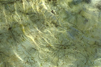 Textura de Agua