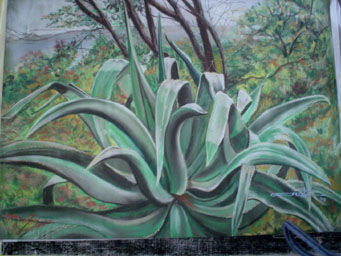 maguey Pastel Papel