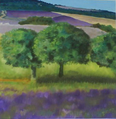 Campo Lavanda Oil Canvas Landscaping