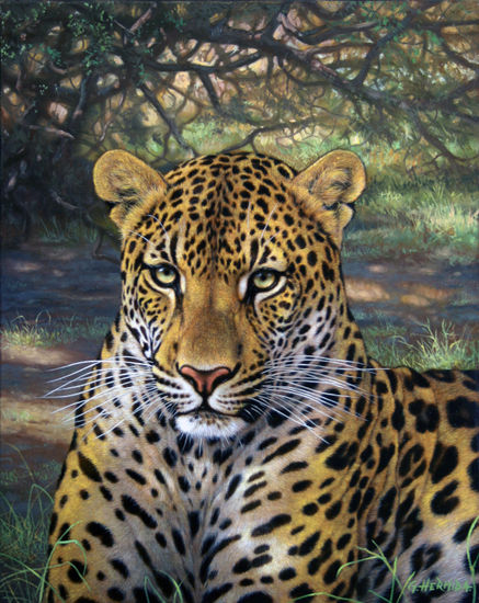 Leopardo Oil Canvas Animals