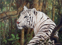 Tigre blanco