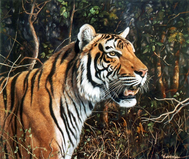 Tigre Óleo Lienzo Animales