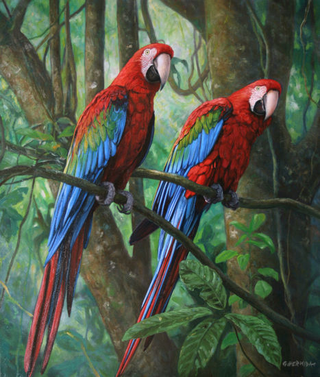 Orgullosos de sus colores Oil Canvas Animals