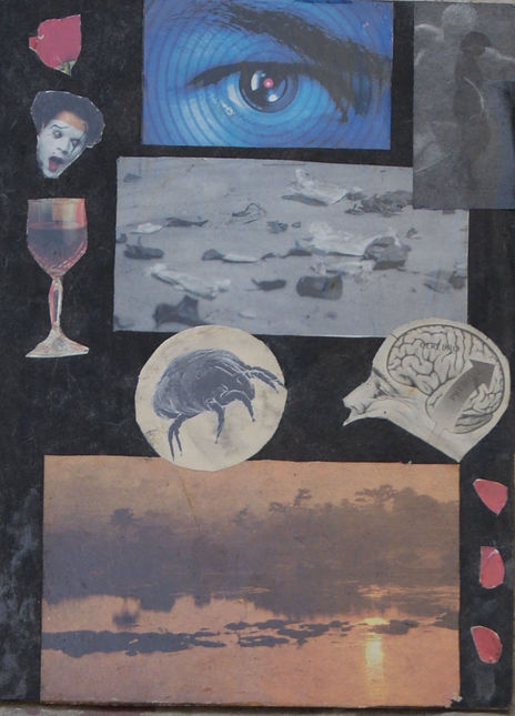 Cerebro