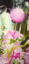 algodon