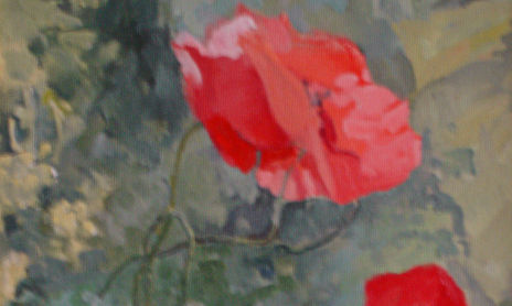 Flores