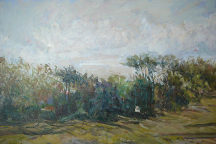 Paisaje Africano