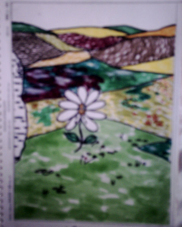 ilustración 5