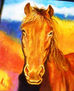 Mi bello caballo marron