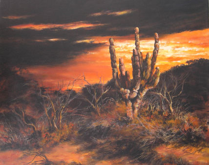 Atardecer en baja- 2