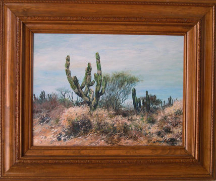 Desierto en la Baja 1