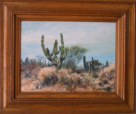 Desierto en la Baja 1