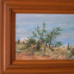 PAISAJE thumbnail 1