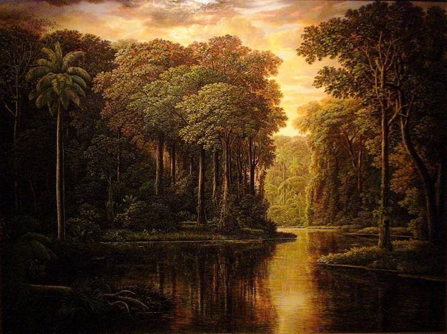 la selva iluminada