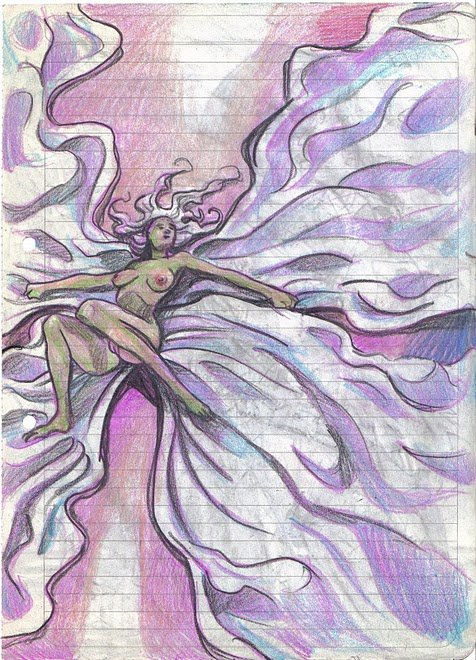 LA MARIPOSA NOCTURNA