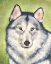 Oso