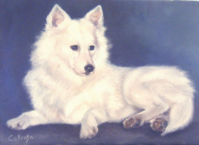 Walter Oil Canvas Animals