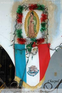 Guadalupe 233